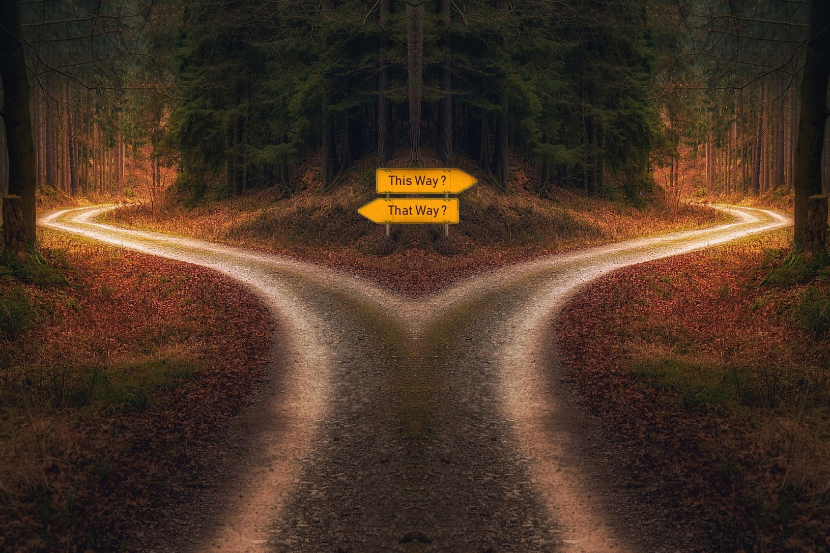 Transform'action chemin